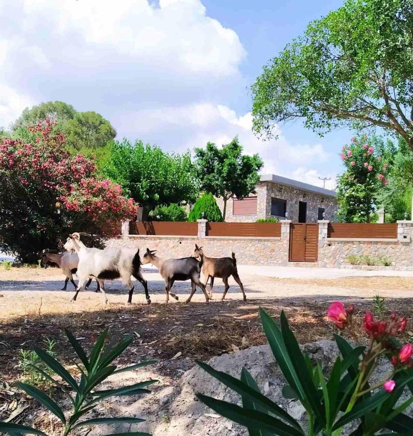 Aithonas Villa Archangelos  Exteriér fotografie