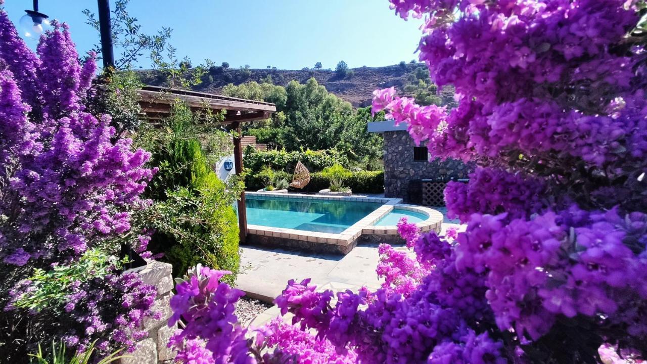 Aithonas Villa Archangelos  Exteriér fotografie