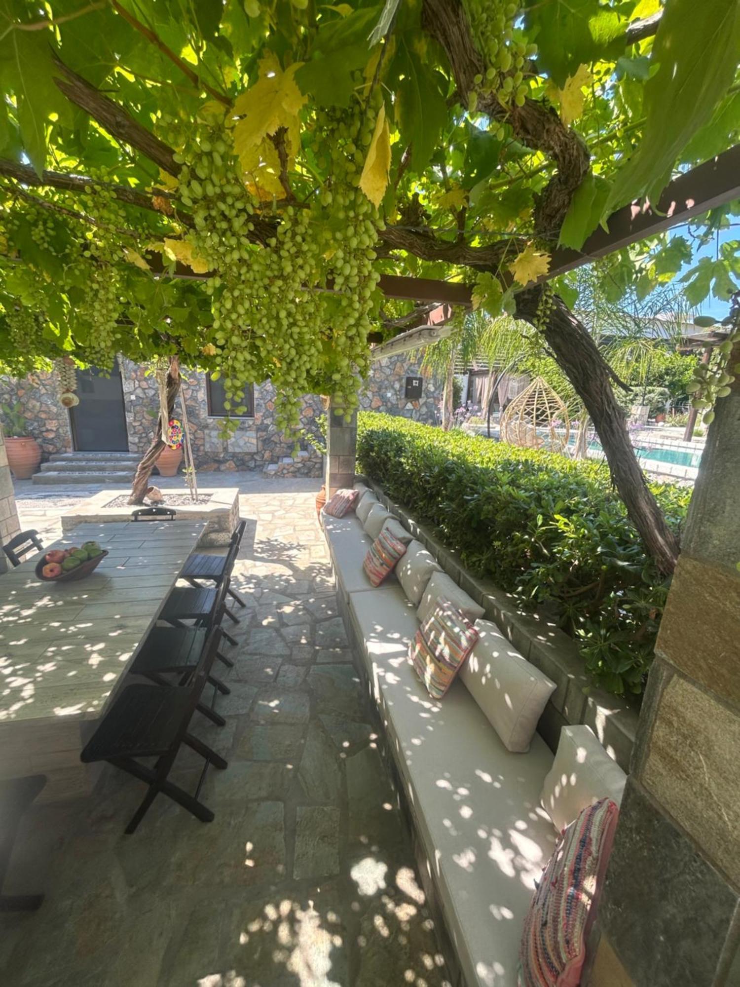 Aithonas Villa Archangelos  Exteriér fotografie