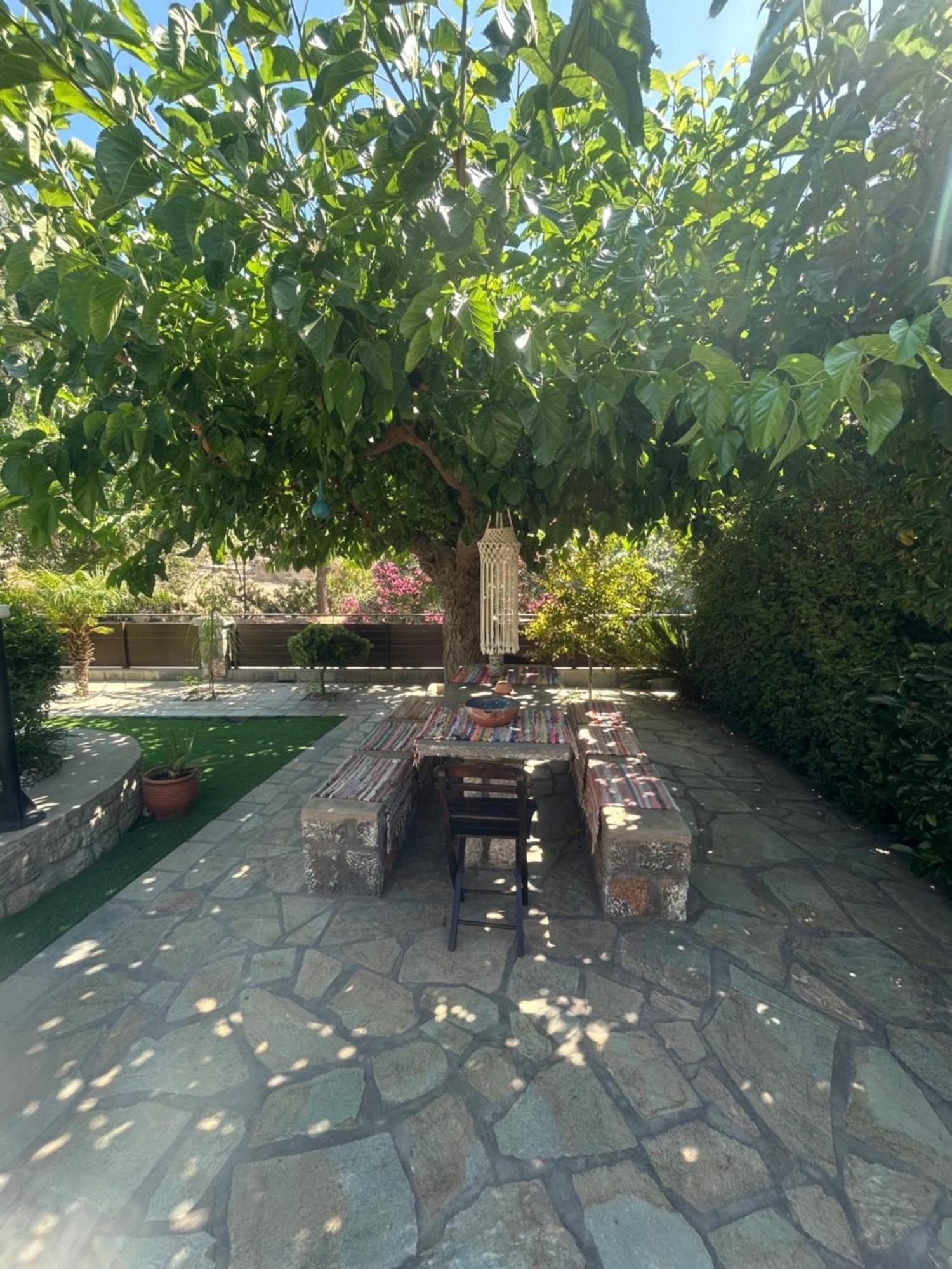 Aithonas Villa Archangelos  Exteriér fotografie